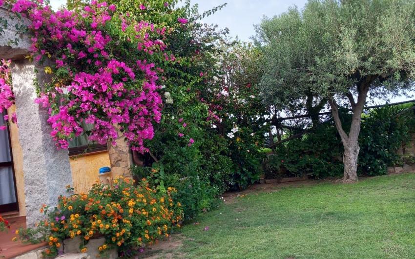 Giemmegi Case Vacanze Villa Fedes Castiadas -  Casa Vacanze Villa Fedes 1