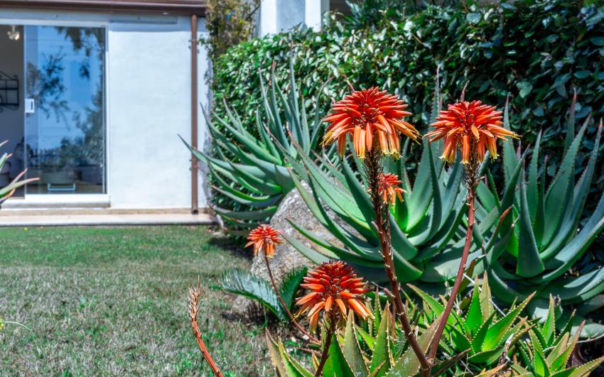 Giemmegi Case Vacanze Villa Cala Beach Castiadas -  Casa Vacanze Villa Cala Beach 1