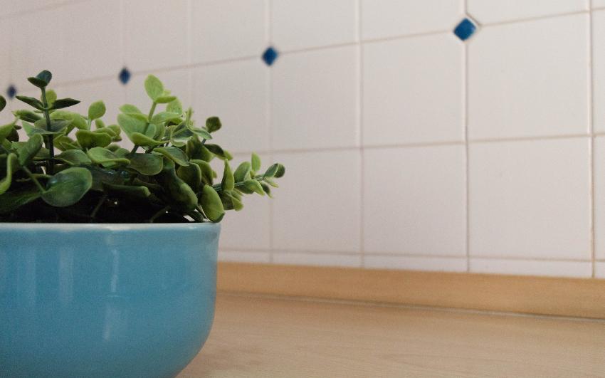 Giemmegi Case Vacanze Appartamento Residenza Milici Villasimius -  Casa Vacanze Appartamento La Residenza Milici 1