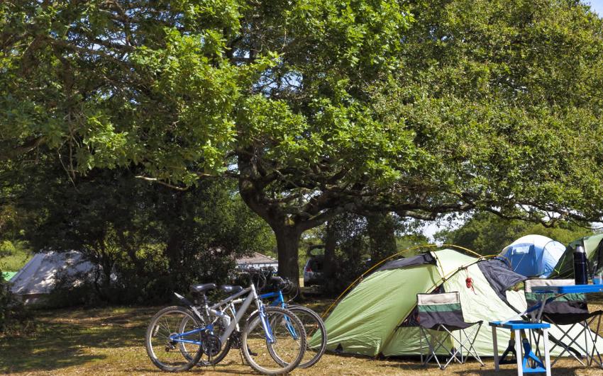 Villaggio Camping Calapineta Camping Calapineta Siniscola -  Camping Piazzola Small 1