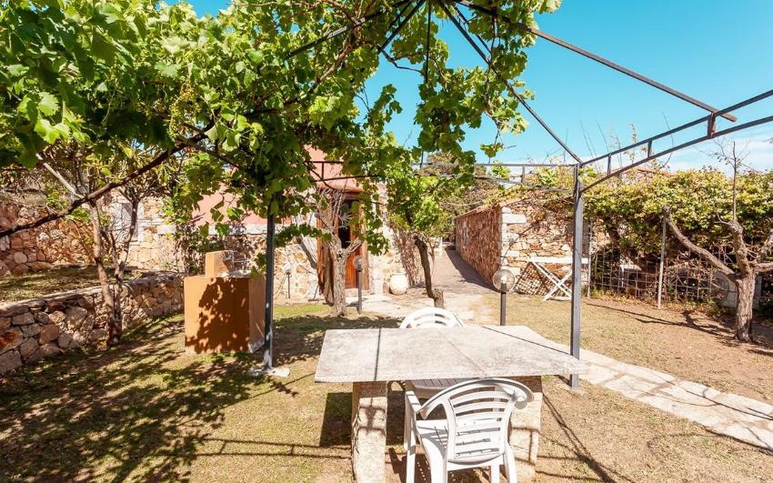 Residenze Pettirosso Pettirosso Garden San Teodoro -  Appartamento Camera Bungalow 1
