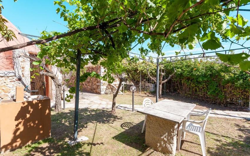 Residenze Pettirosso Pettirosso Garden San Teodoro -  Appartamento Camera Bungalow 1