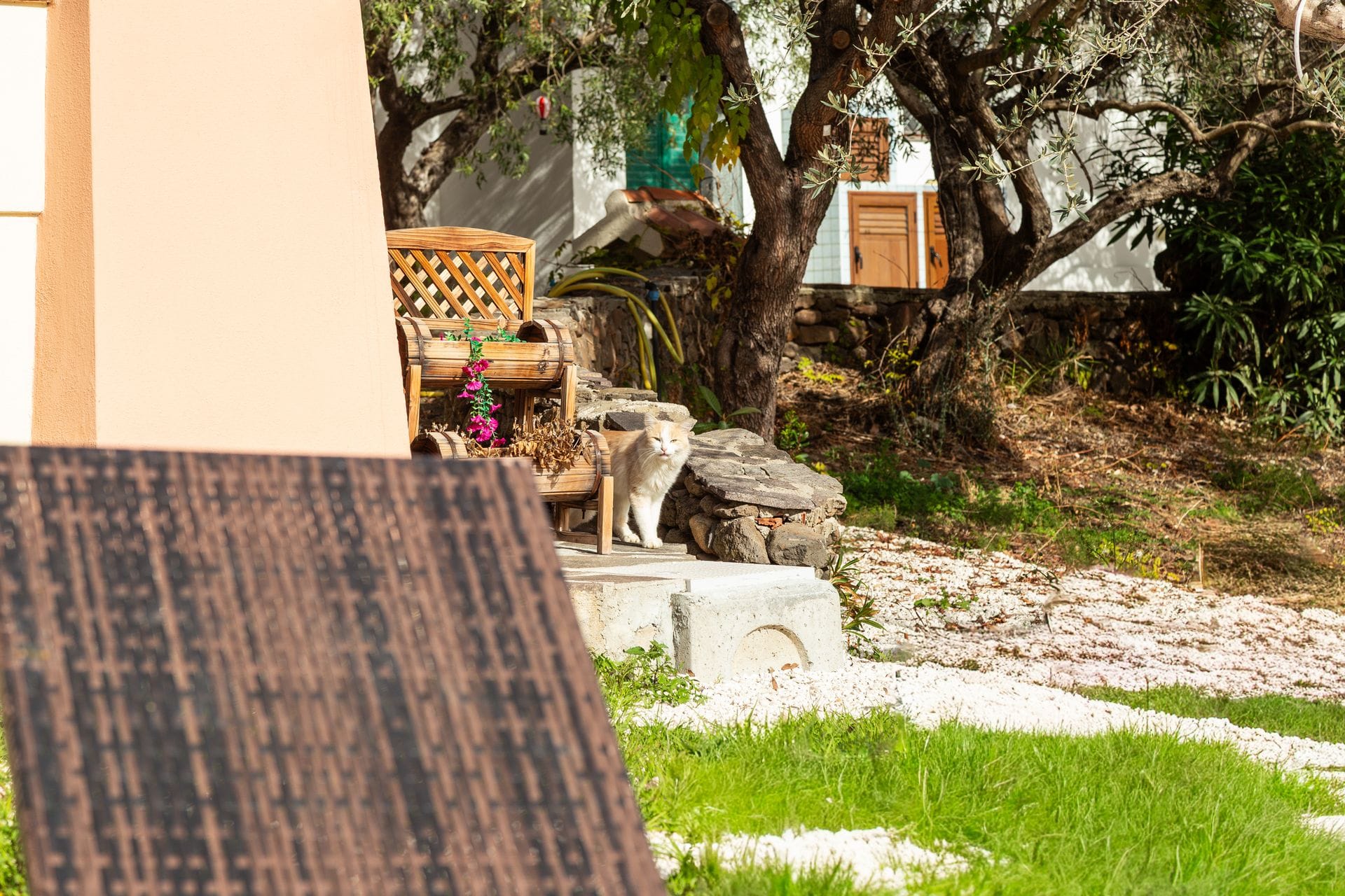 Residenze Corallo (Corallo S.R.L.S.) Residenze Corallo - Orosei Orosei -  Casa Vacanze Trilocale piano terra 1